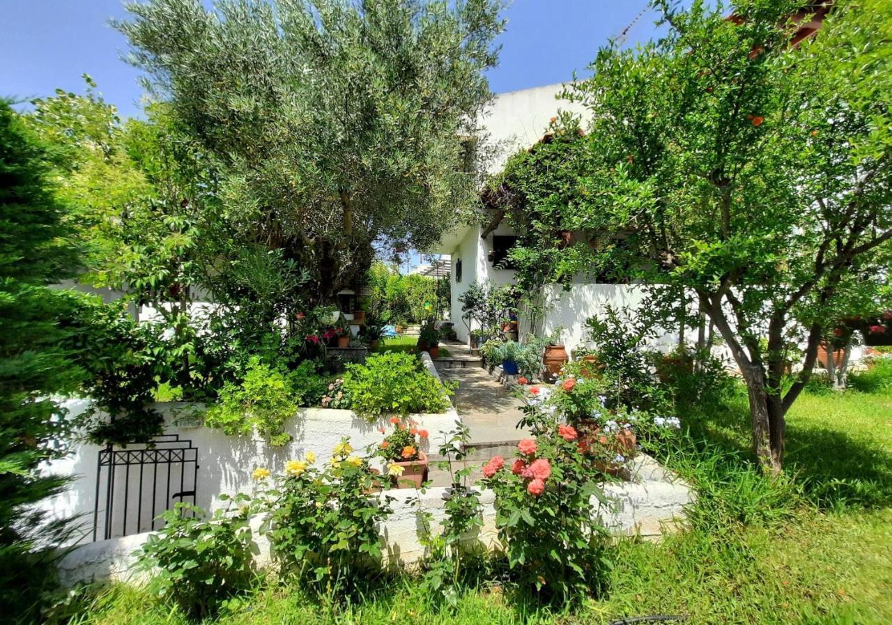 Sonia'S House With Garden Villa Yerakini Eksteriør billede