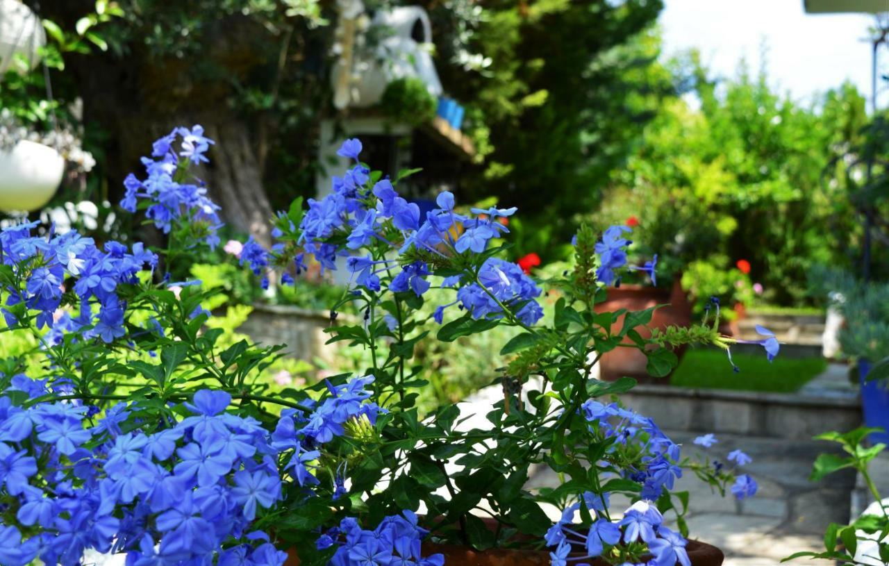 Sonia'S House With Garden Villa Yerakini Eksteriør billede